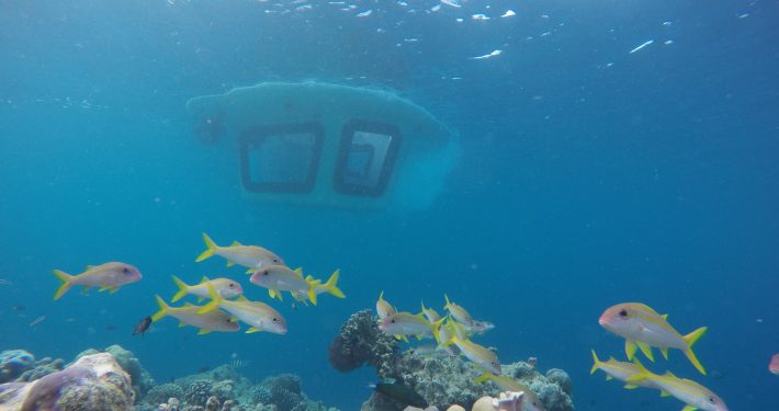 Easy underwater ride